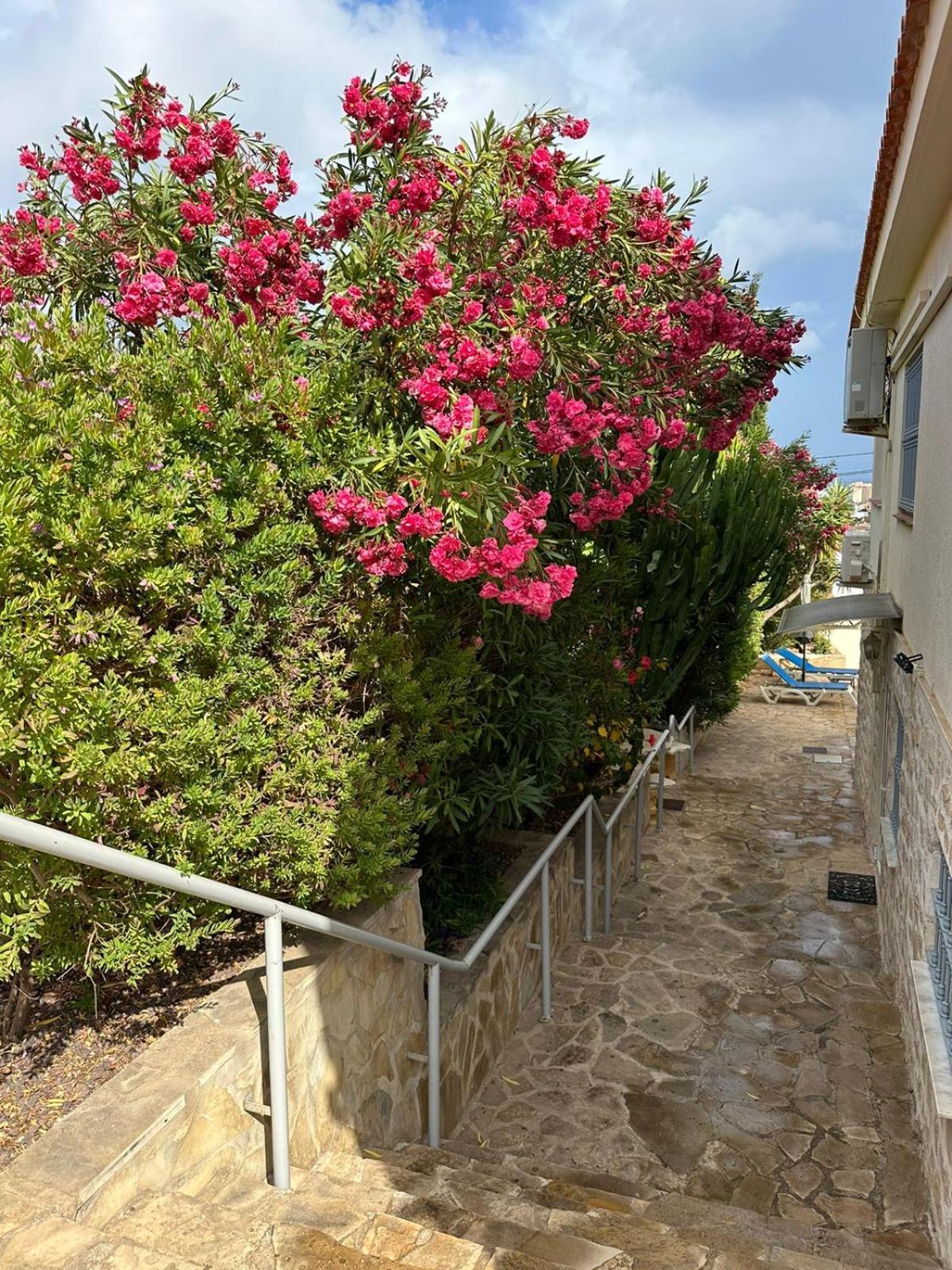 Apartamentos En La Villa Con El Territorio Comun En Calpe Ngoại thất bức ảnh